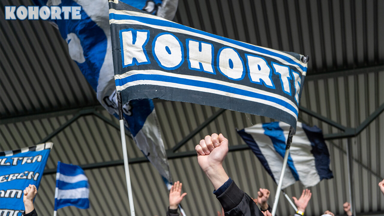 MSV Duisburg – Hallescher FC 2-1 (7)