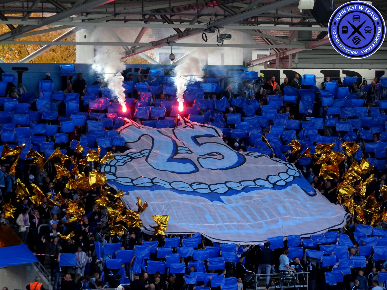 Chemnitzer FC – VFC Plauen 0-1 (34)