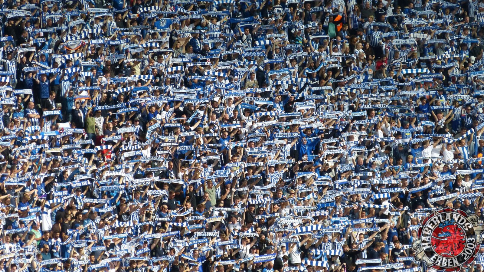 Hertha BSC – Bayer 04 Leverkusen 2-2 (10)