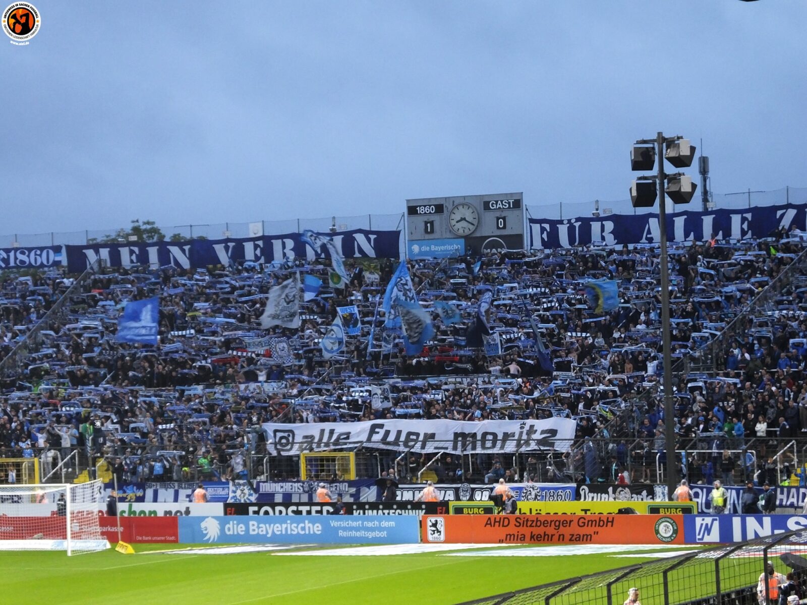 TSV 1860 München – Hallescher FC 3-1 (1)