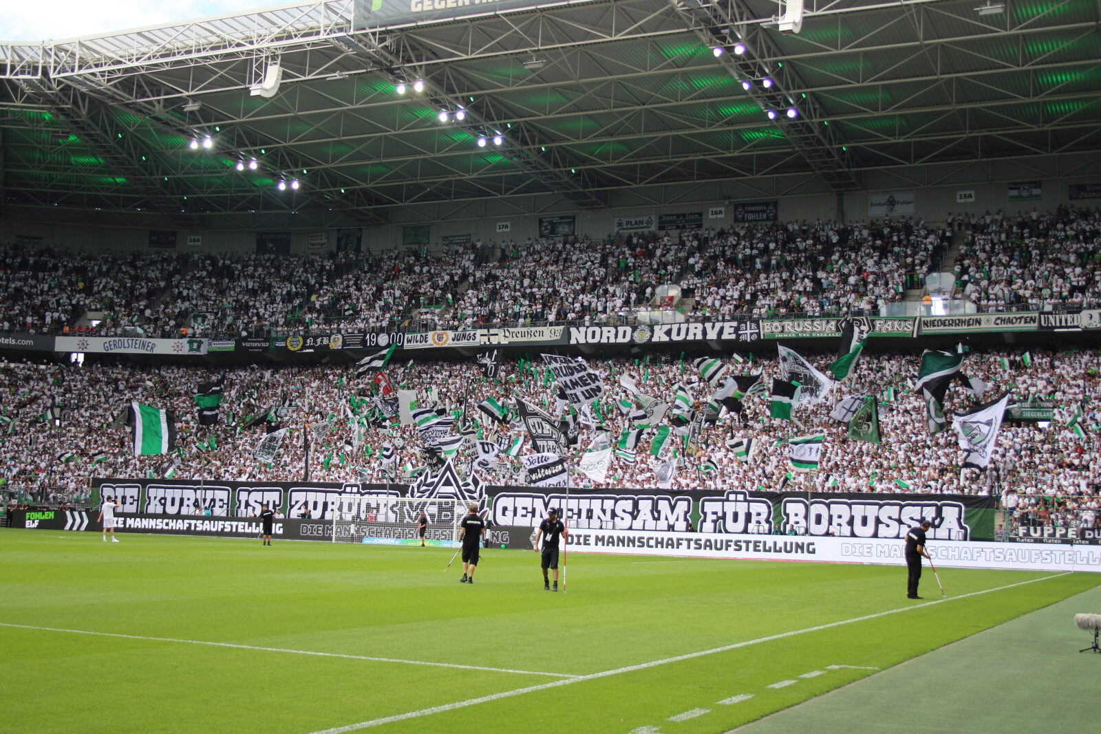 Borussia Mönchengladbach – TSG Hoffenheim 3-1 (17)