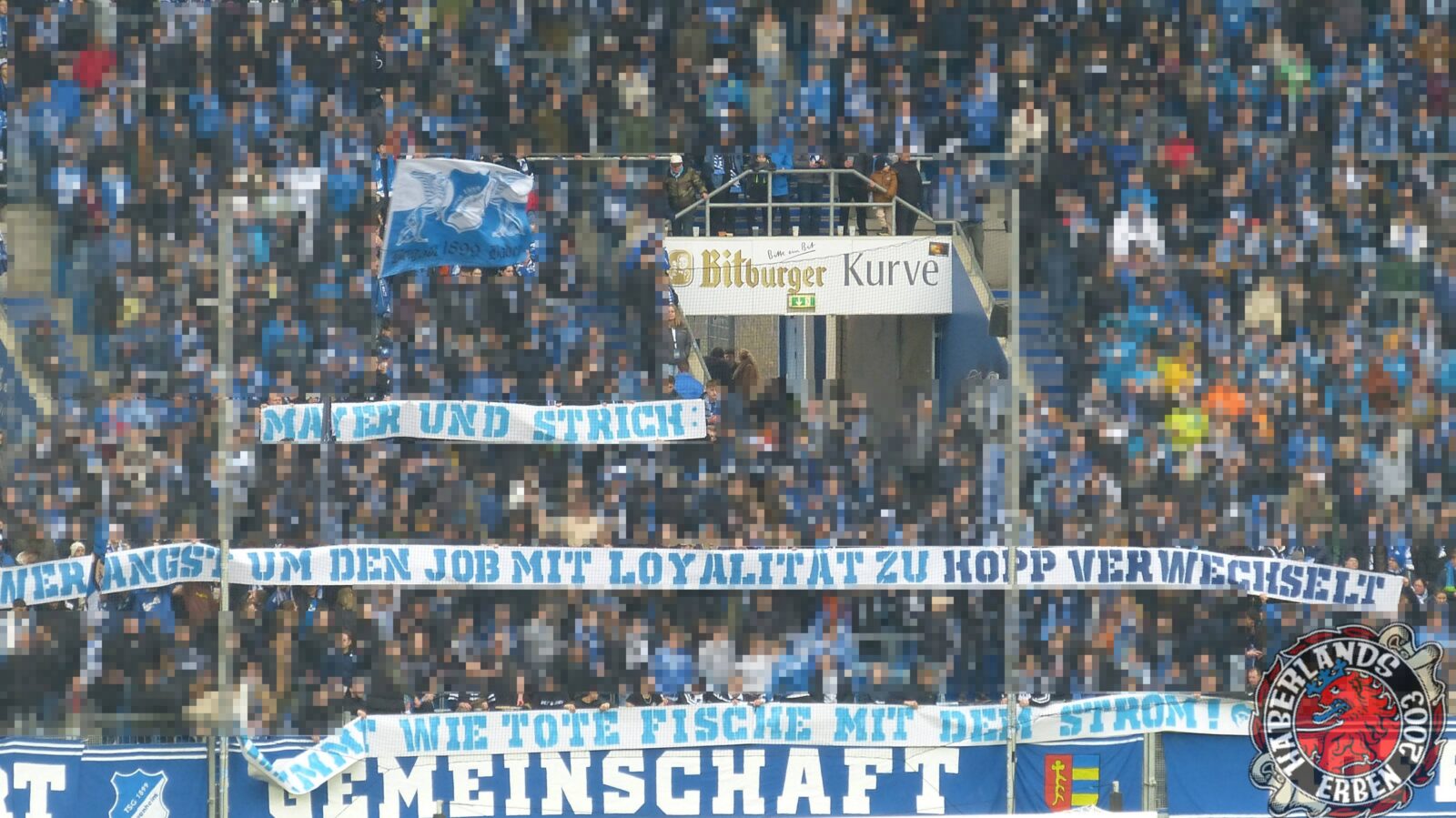 TSG Hoffenheim – Bayer 04 Leverkusen 1-3 (4)