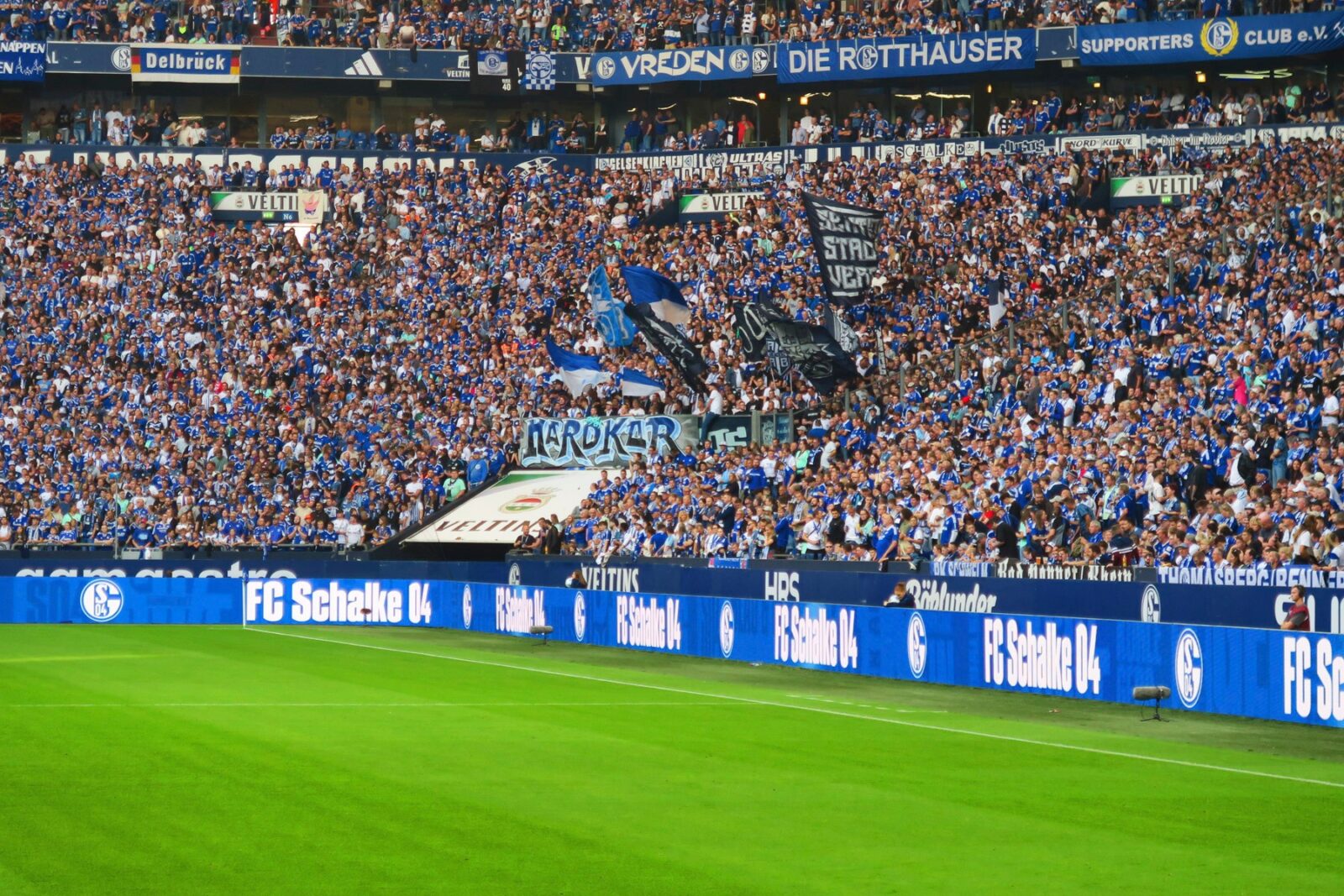 FC Schalke 04 – SV Darmstadt 98 3-5 (14)
