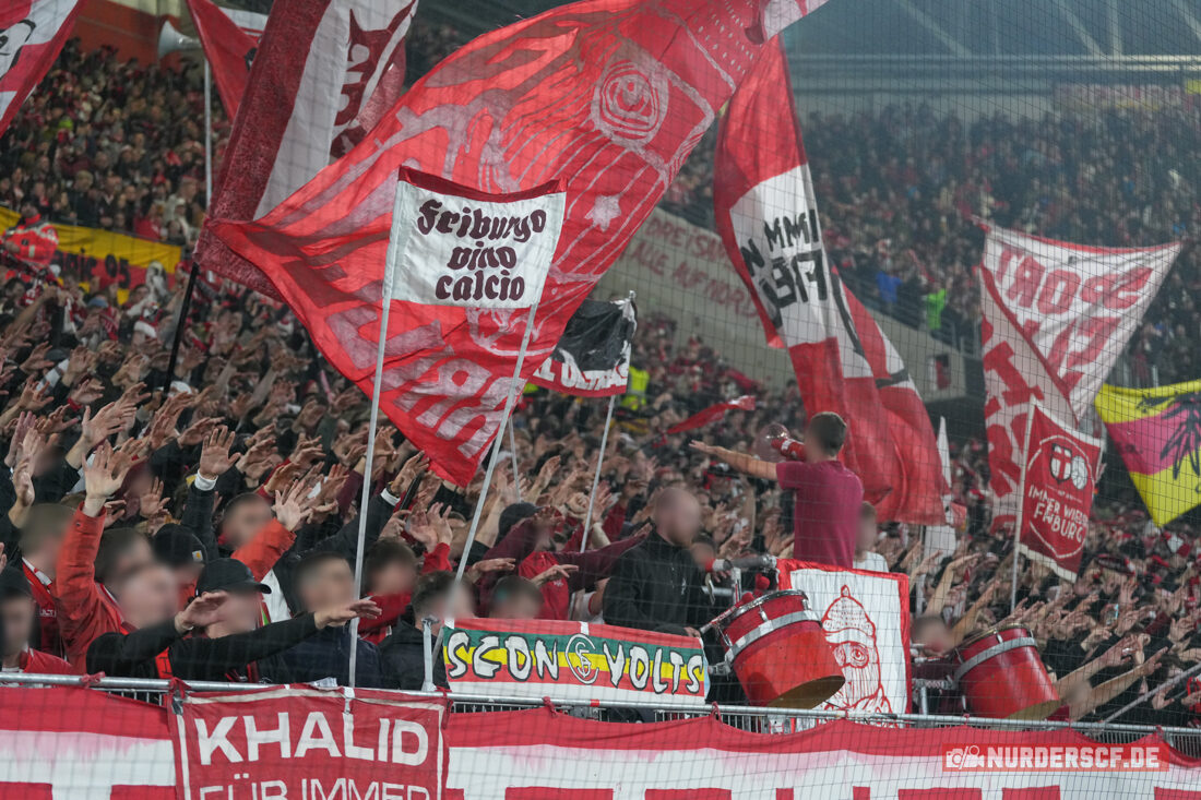 SC Freiburg – Hamburger SV 2-1 (37)