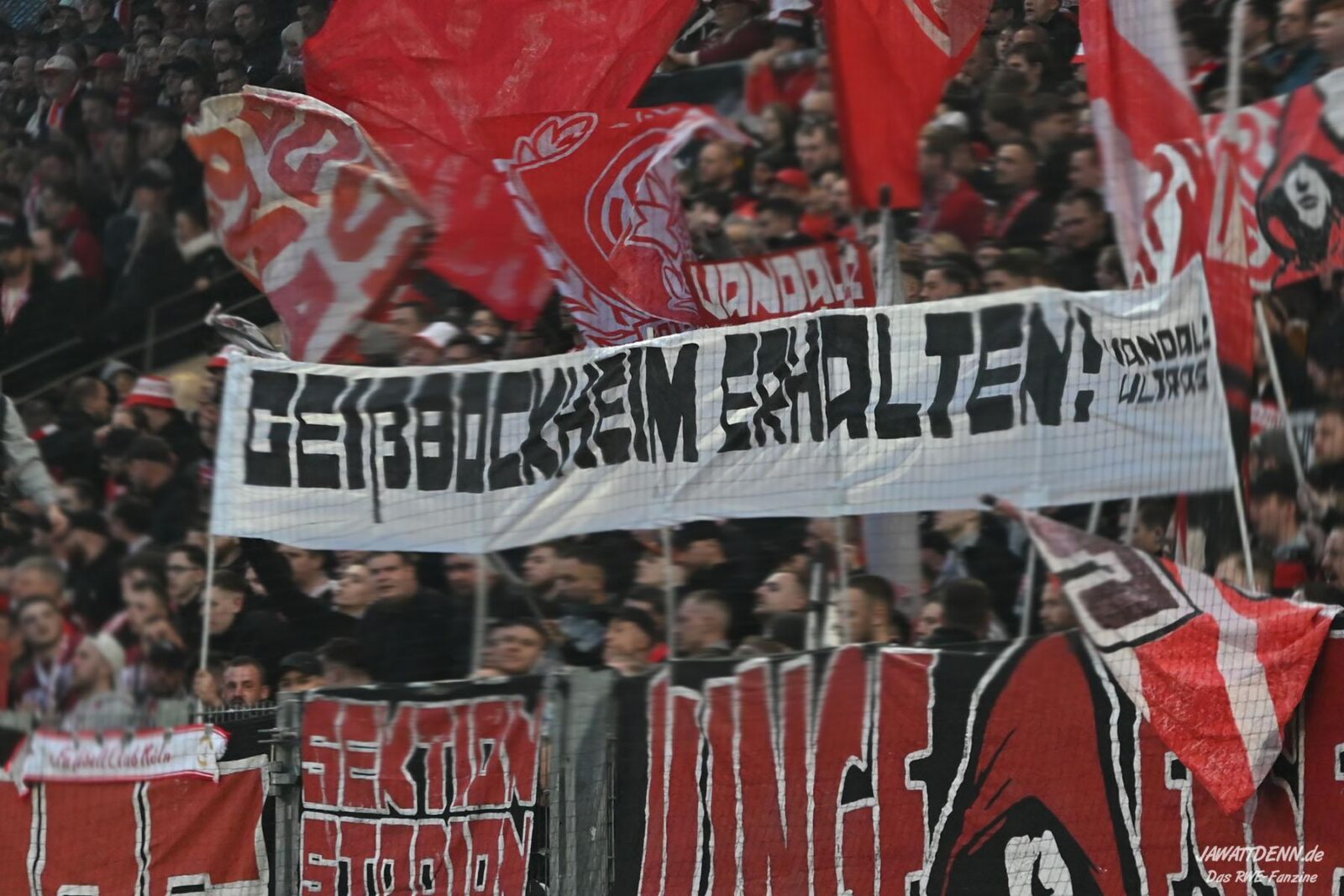 Rot-Weiss Essen – SpVgg Unterhaching 1-2 (5)