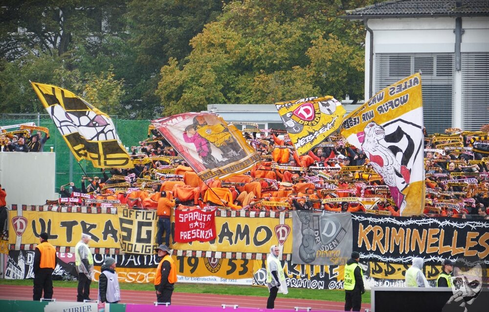 SpVgg Bayreuth – Dynamo Dresden 1-1 (15)