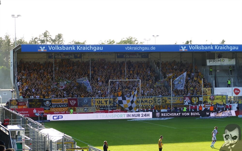 SV Sandhausen – Dynamo Dresden 1-0 (3)
