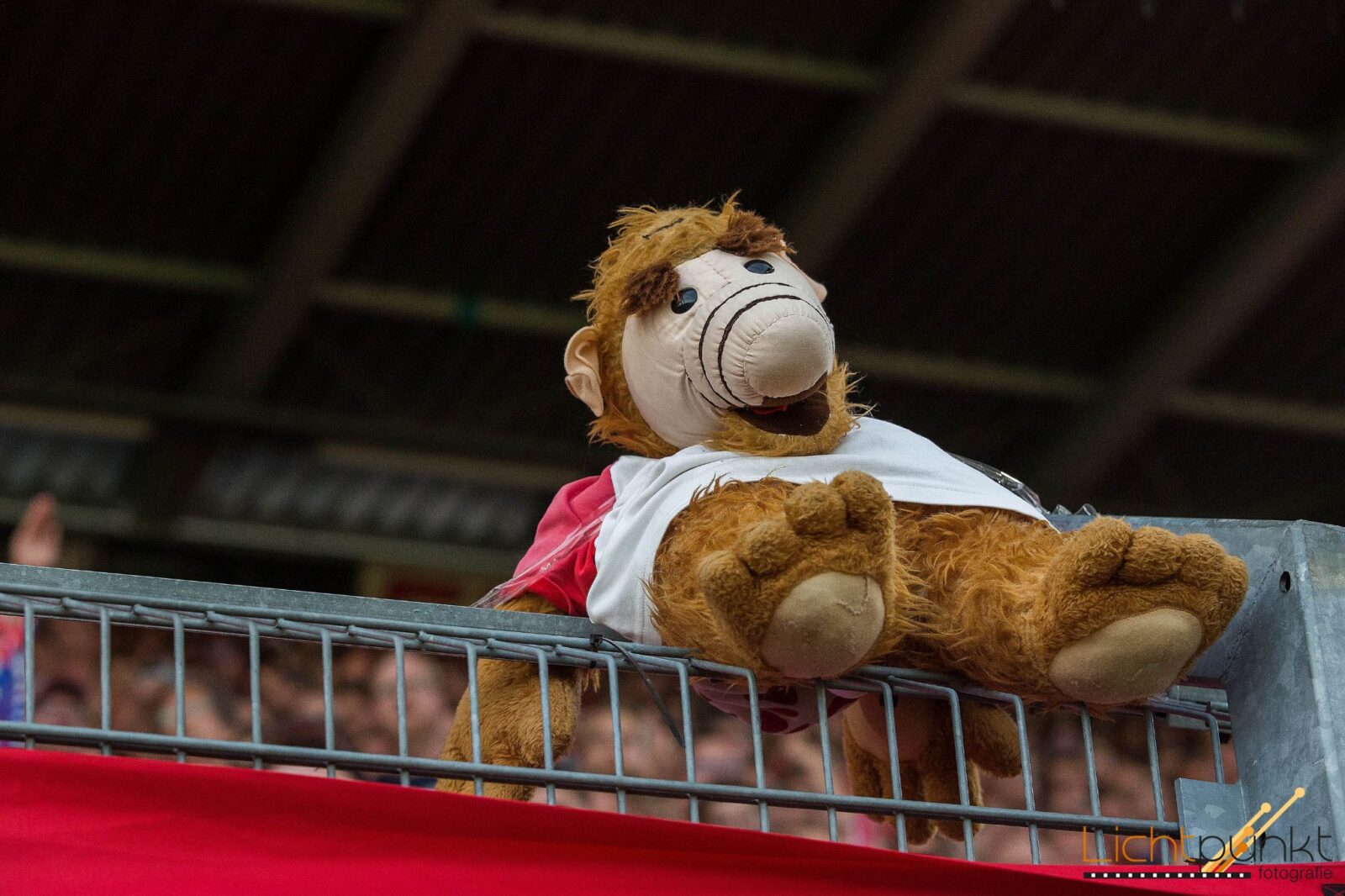FC Energie Cottbus – Werder Bremen 1-2 (9)