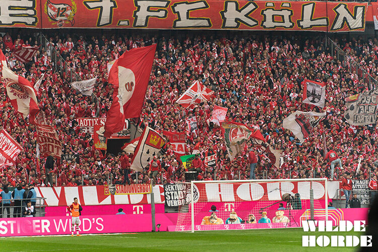 1. FC Köln – Borussia Mönchengladbach 0-0 (11)