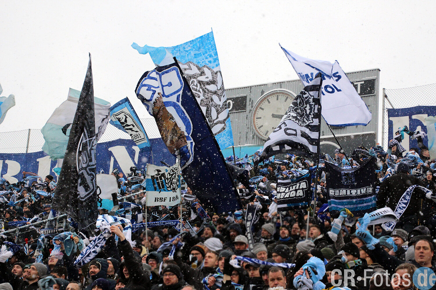 TSV 1860 München – FSV Zwickau (17)