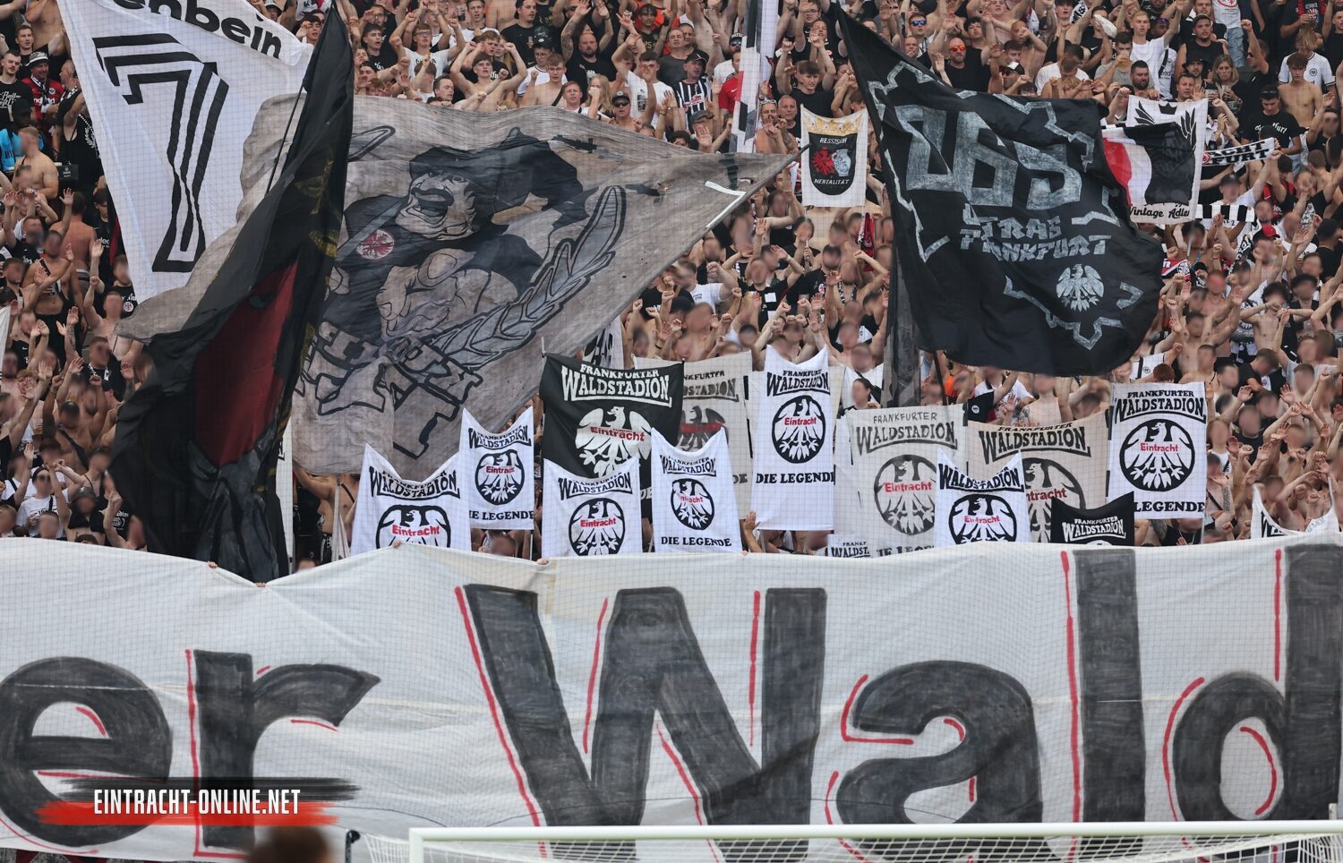 Eintracht Frankfurt – TSG Hoffenheim 3-1 (44)