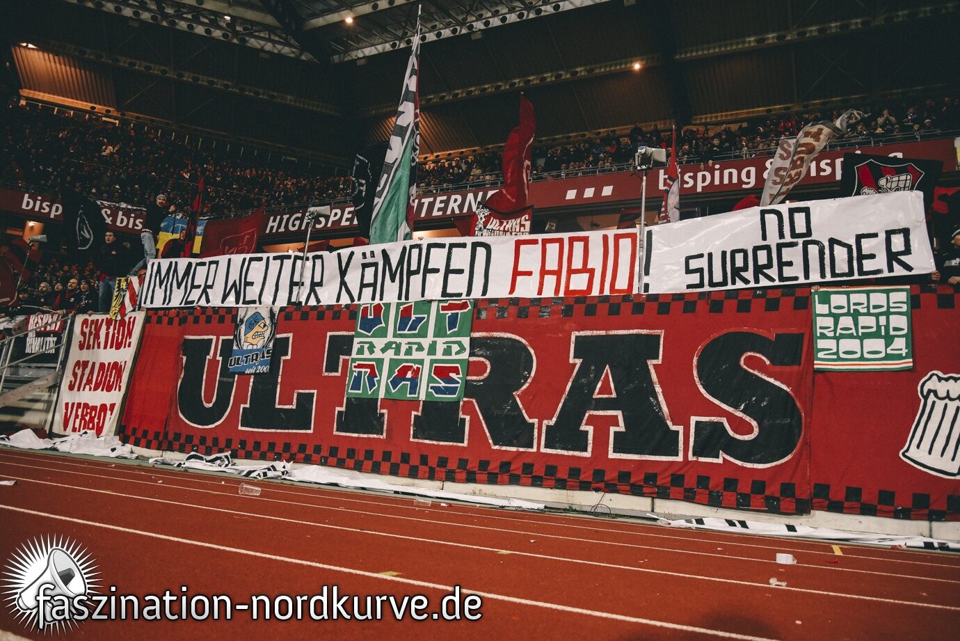 1. FC Nürnberg – SV Darmstadt 98 3-1 (36)