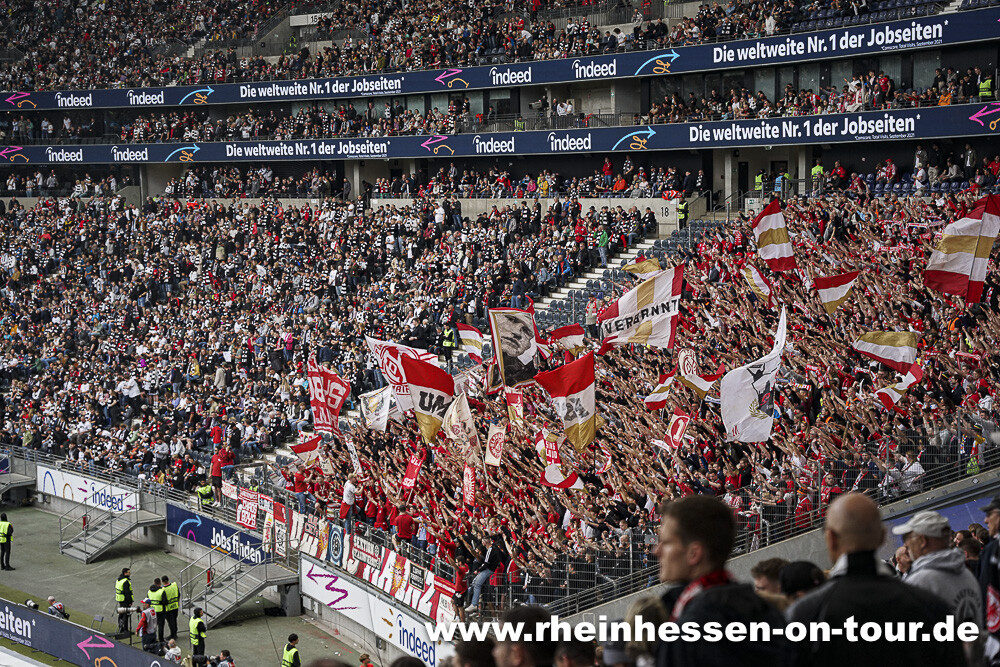 Eintracht Frankfurt – 1. FSV Mainz 05 3-0 (8)