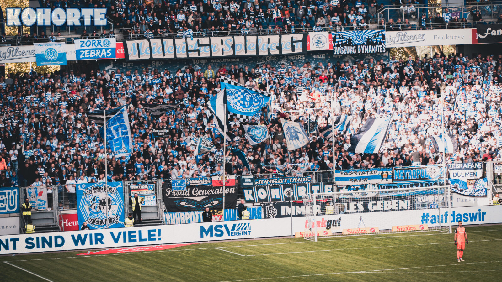 MSV Duisburg – SV Rödinghausen 2-1 (5)