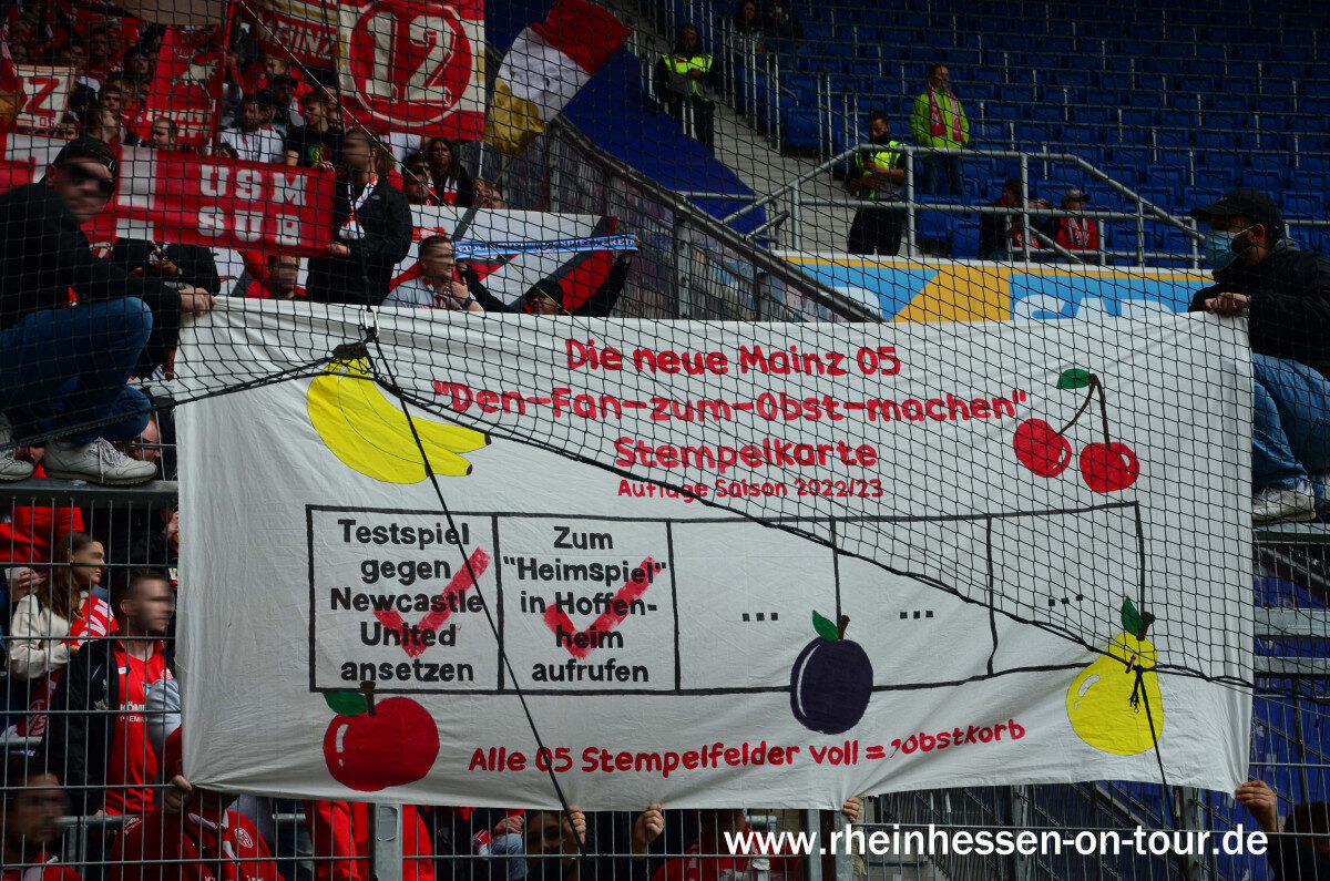 TSG Hoffenheim – 1. FSV Mainz 05 4-1 (4)