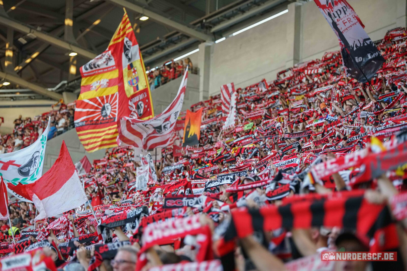 SC Freiburg – Borussia Dortmund 1-3 (16)