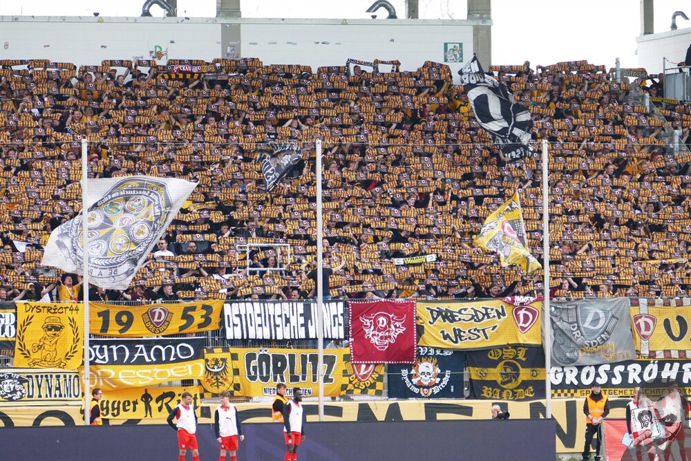 FSV Zwickau – Dynamo Dresden 0-1 (8)