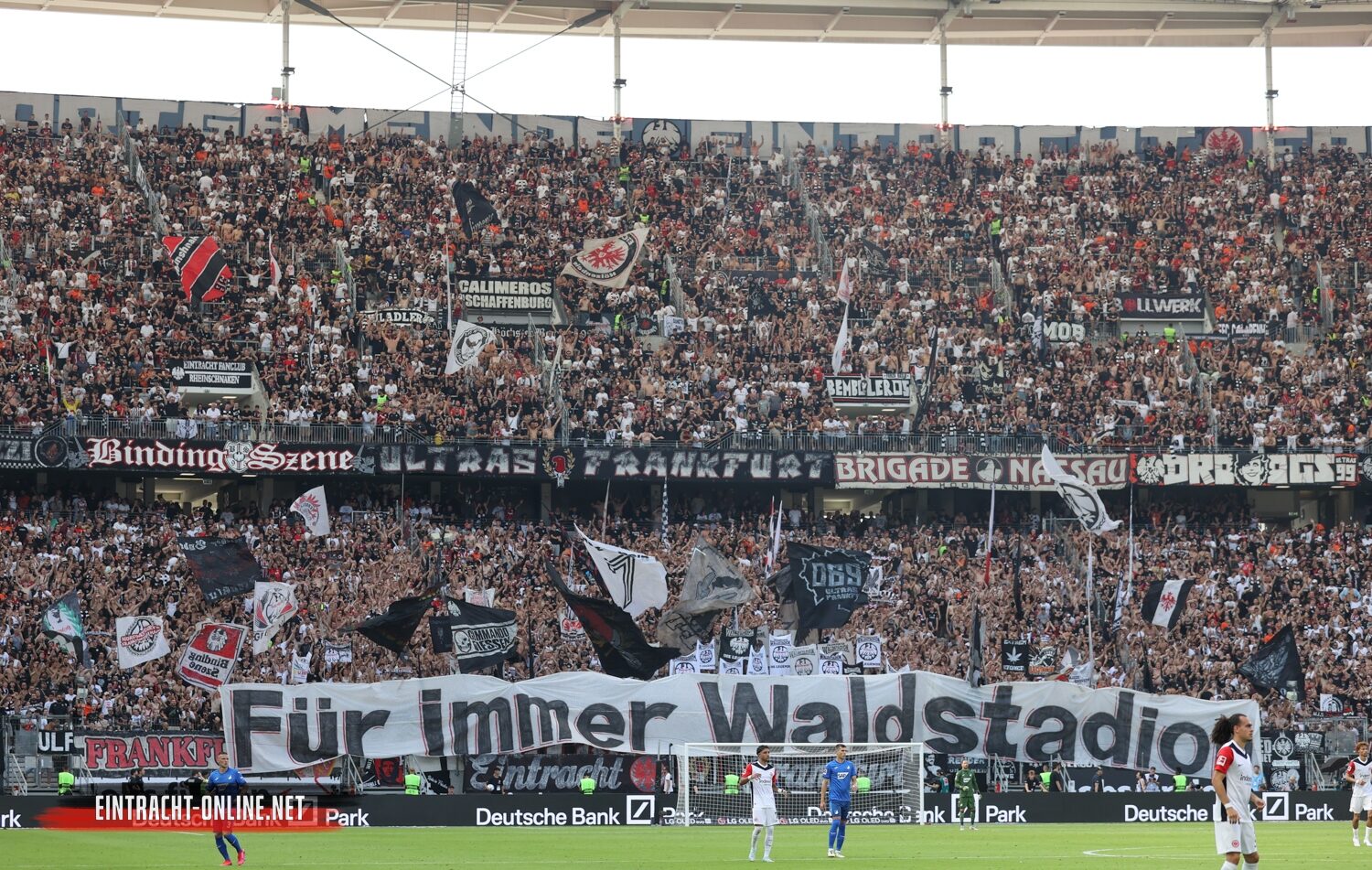 Eintracht Frankfurt – TSG Hoffenheim 3-1 (15)