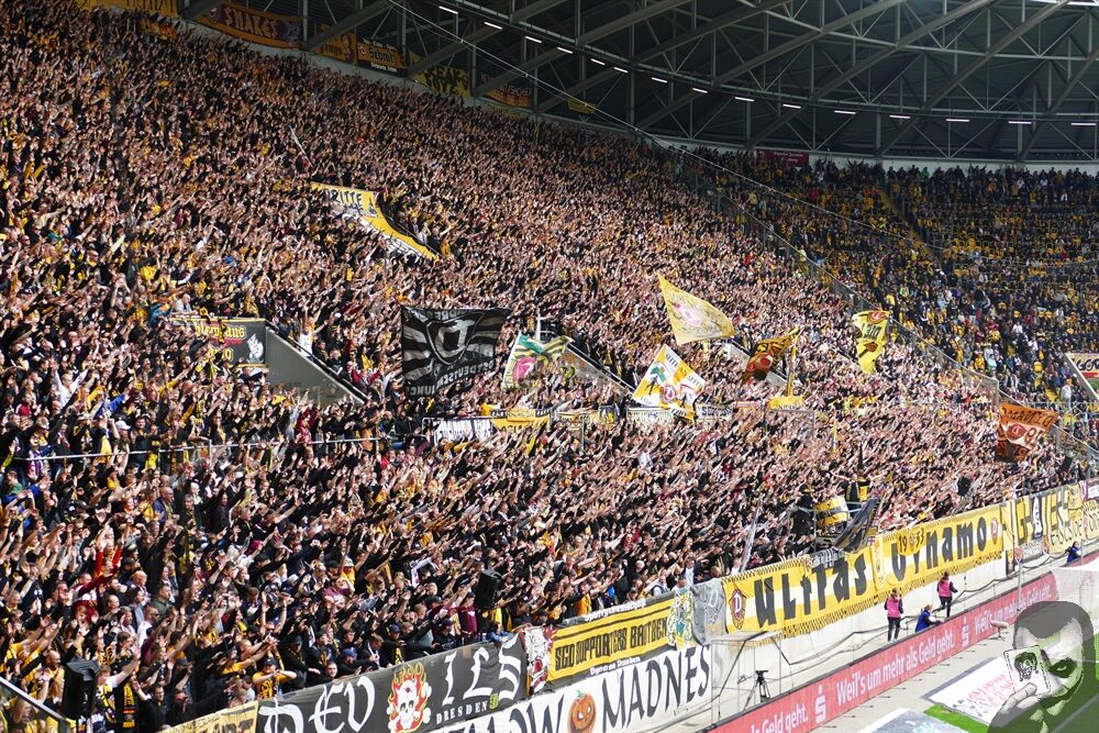 Dynamo Dresden – SV Wehen 3-1 (8)
