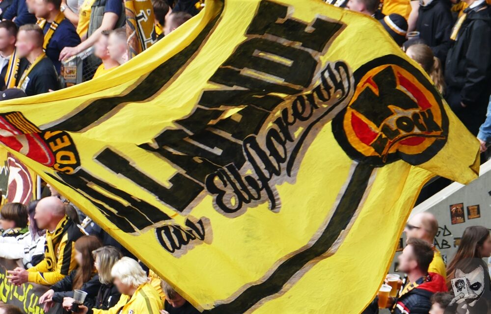 Dynamo Dresden – SV Wehen 3-1 (6)