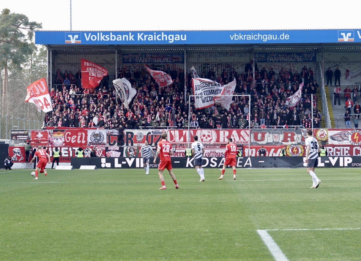 SV Sandhausen – FC Energie Cottbus 0-1 (10)