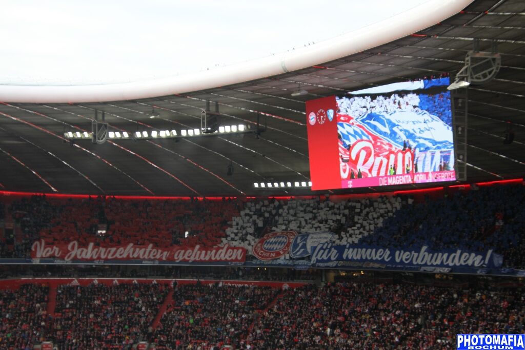FC Bayern München – VfL Bochum (8)