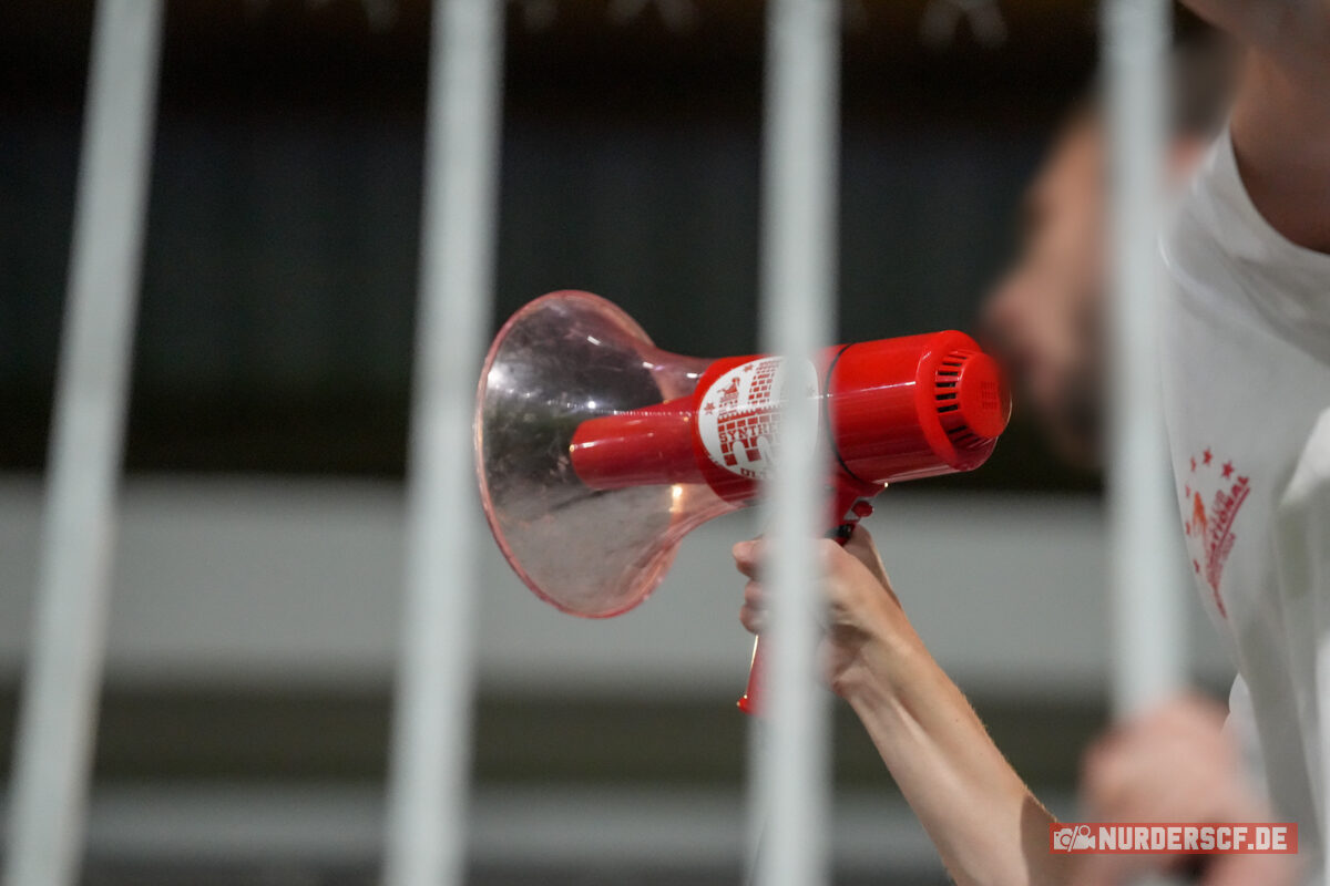 TSC Backa Topola – SC Freiburg 1-3 (24)