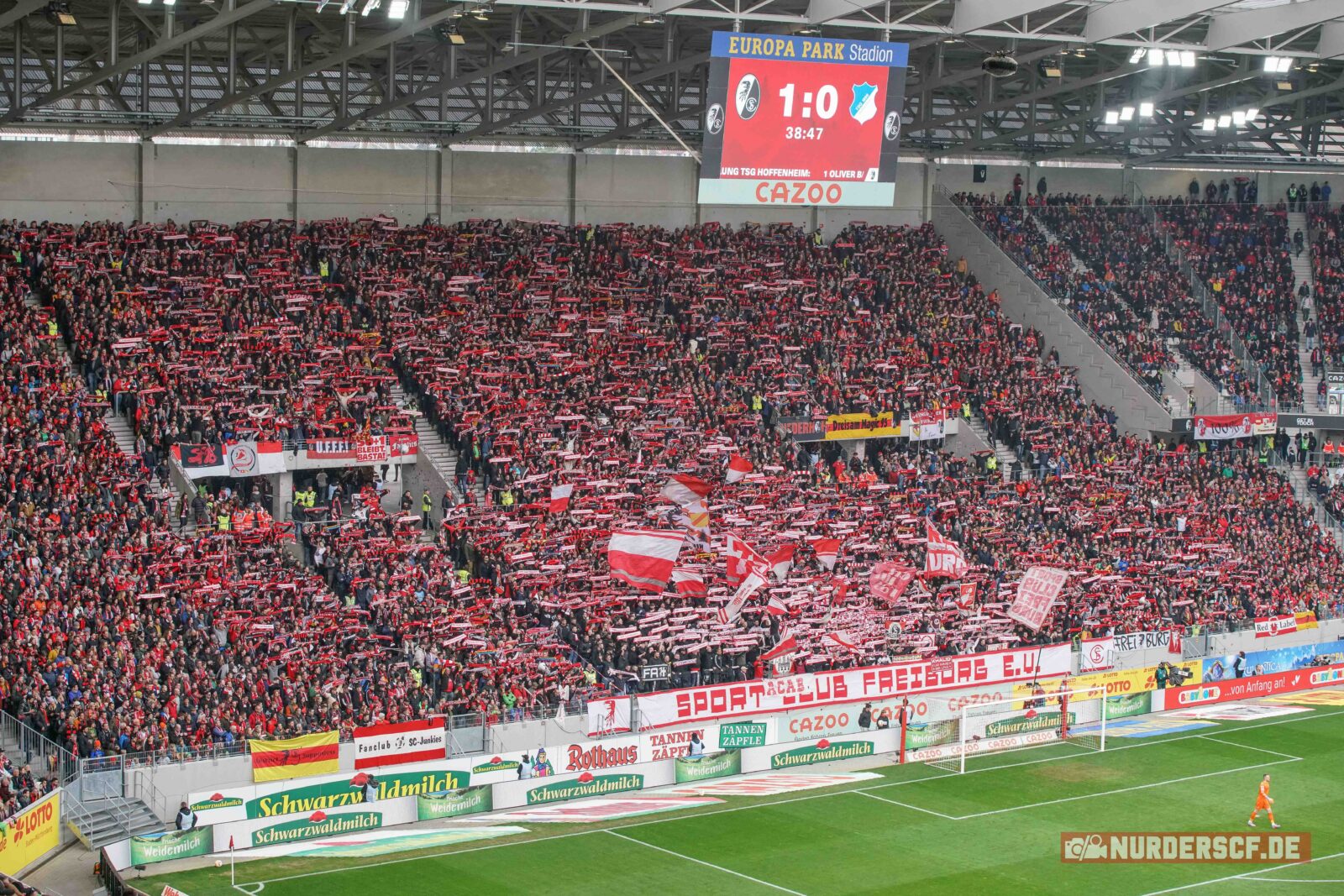 SC Freiburg – TSG Hoffenheim 2-1 (16)