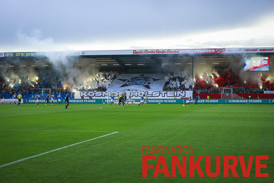 Holstein Kiel – Hamburger SV 2-3 (19)