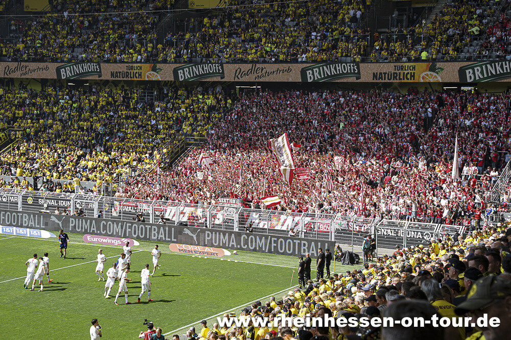 Borussia Dortmund – 1. FSV Mainz 05 2-2 (2)