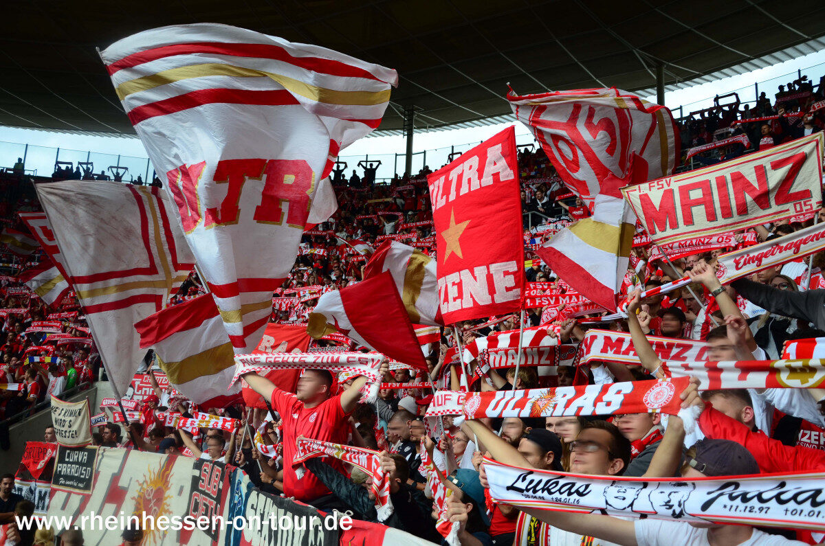 TSG Hoffenheim – 1. FSV Mainz 05 4-1 (18)