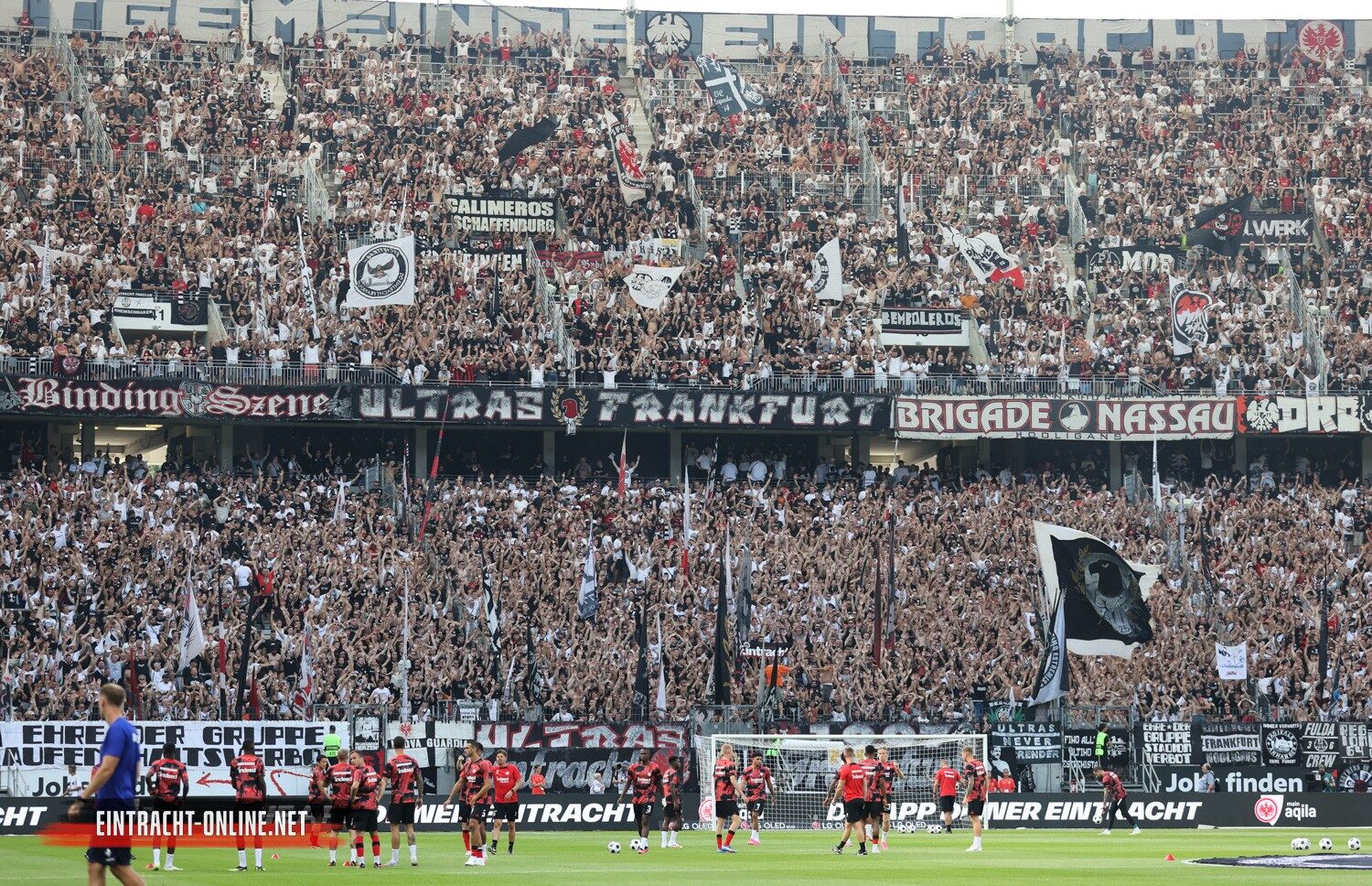 Eintracht Frankfurt – SV Darmstadt 98 1-0 (32)