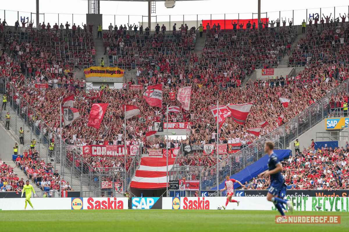 TSG Hoffenheim – SC Freiburg 1-2 (11)