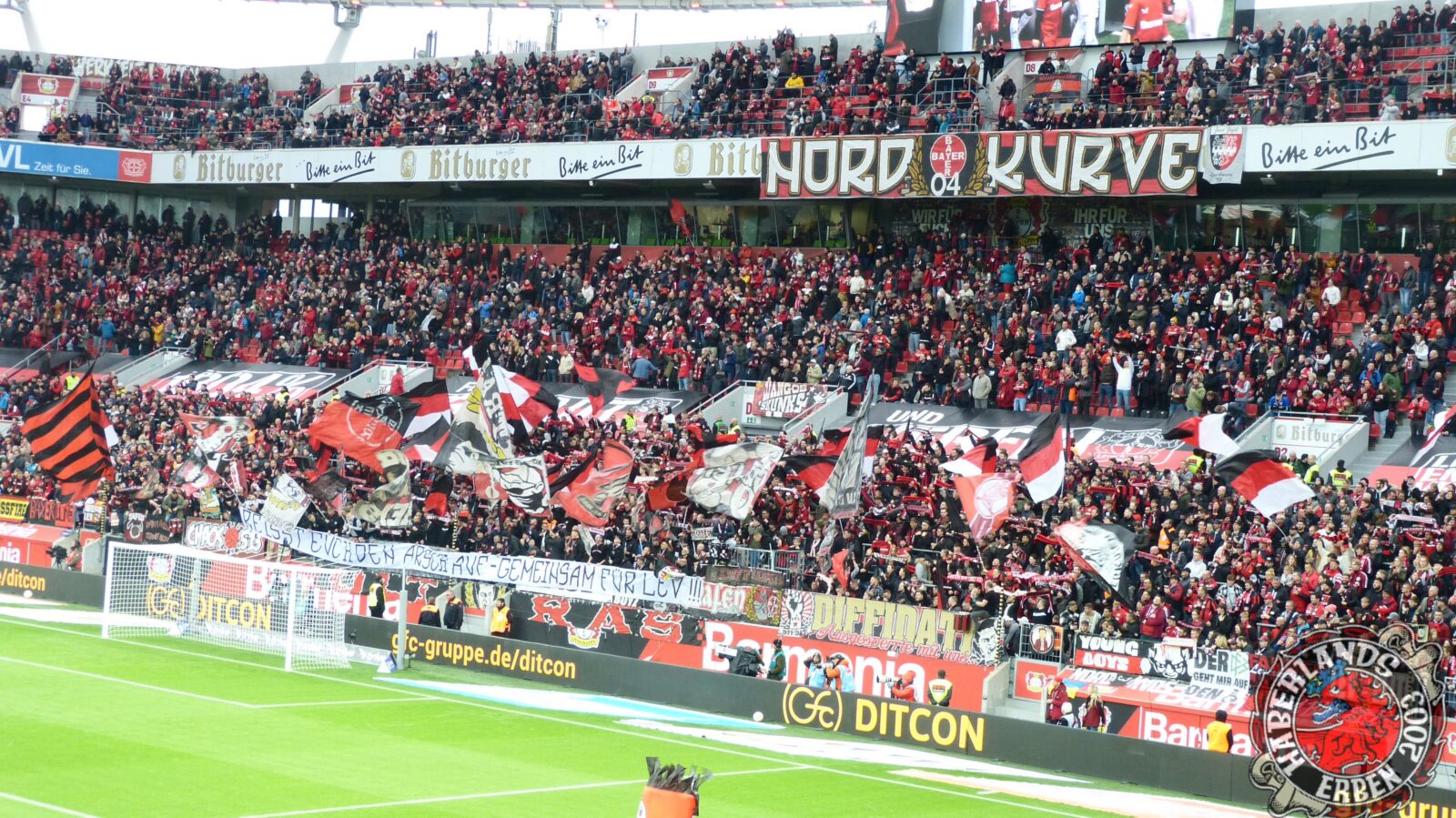 Bayer 04 Leverkusen – 1. FC Union Berlin 5-0 (7)