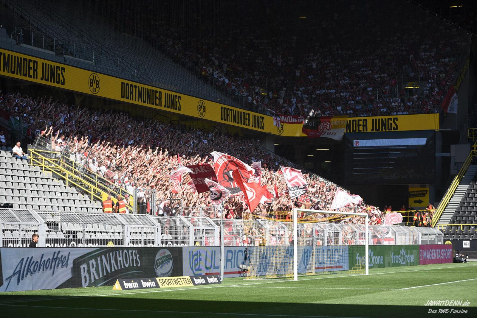 Borussia Dortmund II – Rot-Weiss Essen 1-0 (9)