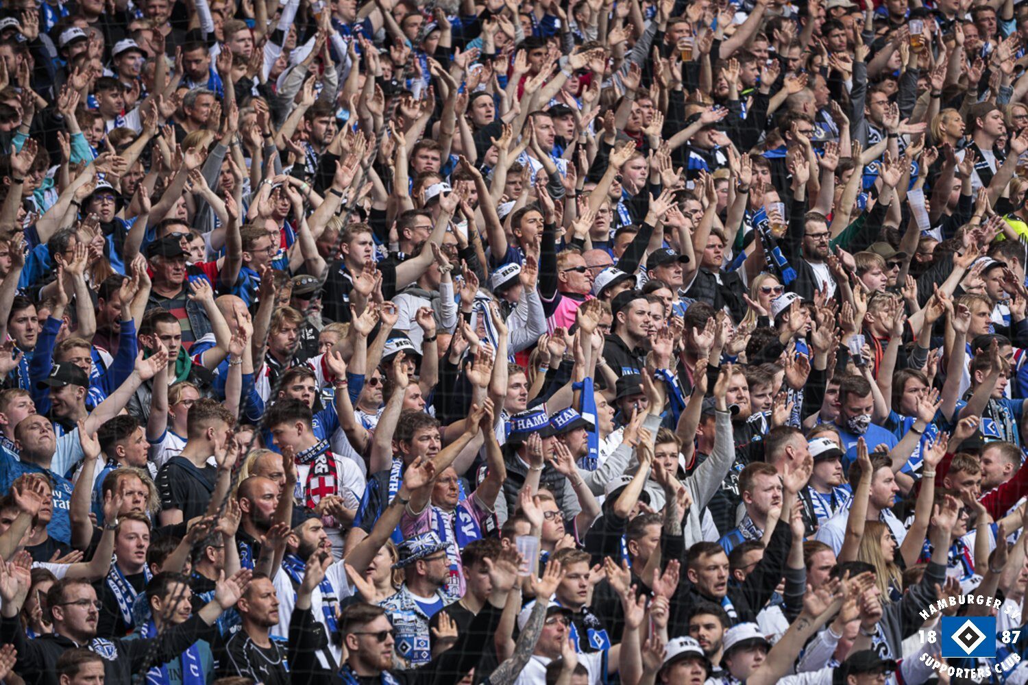 Hamburger SV – Hannover 96 2-1 (5)