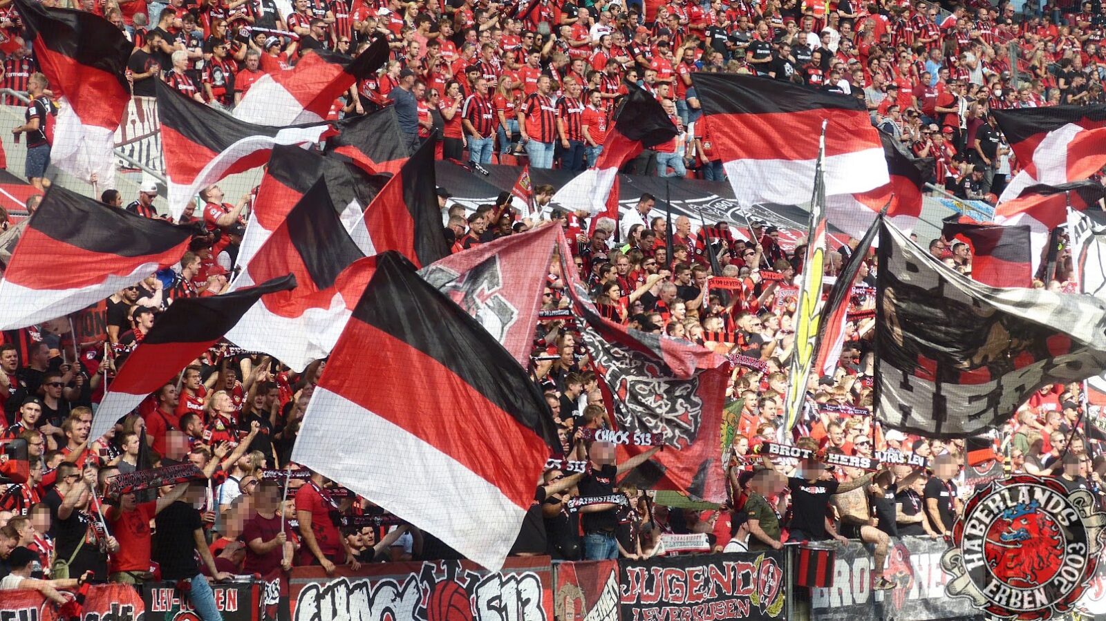 Bayer 04 Leverkusen – SC Freiburg 2-3 (14)