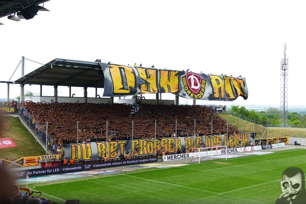 FSV Zwickau – Dynamo Dresden 0-1 (16)