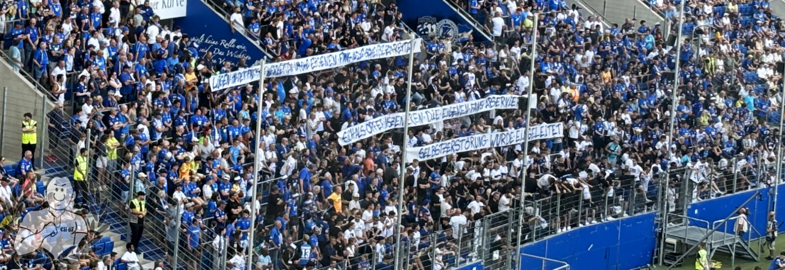 TSG Hoffenheim – Holstein Kiel 3-2 (12)