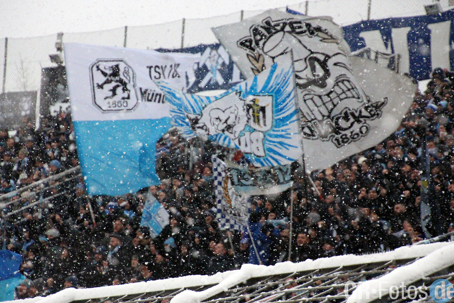 TSV 1860 München – FSV Zwickau (18)