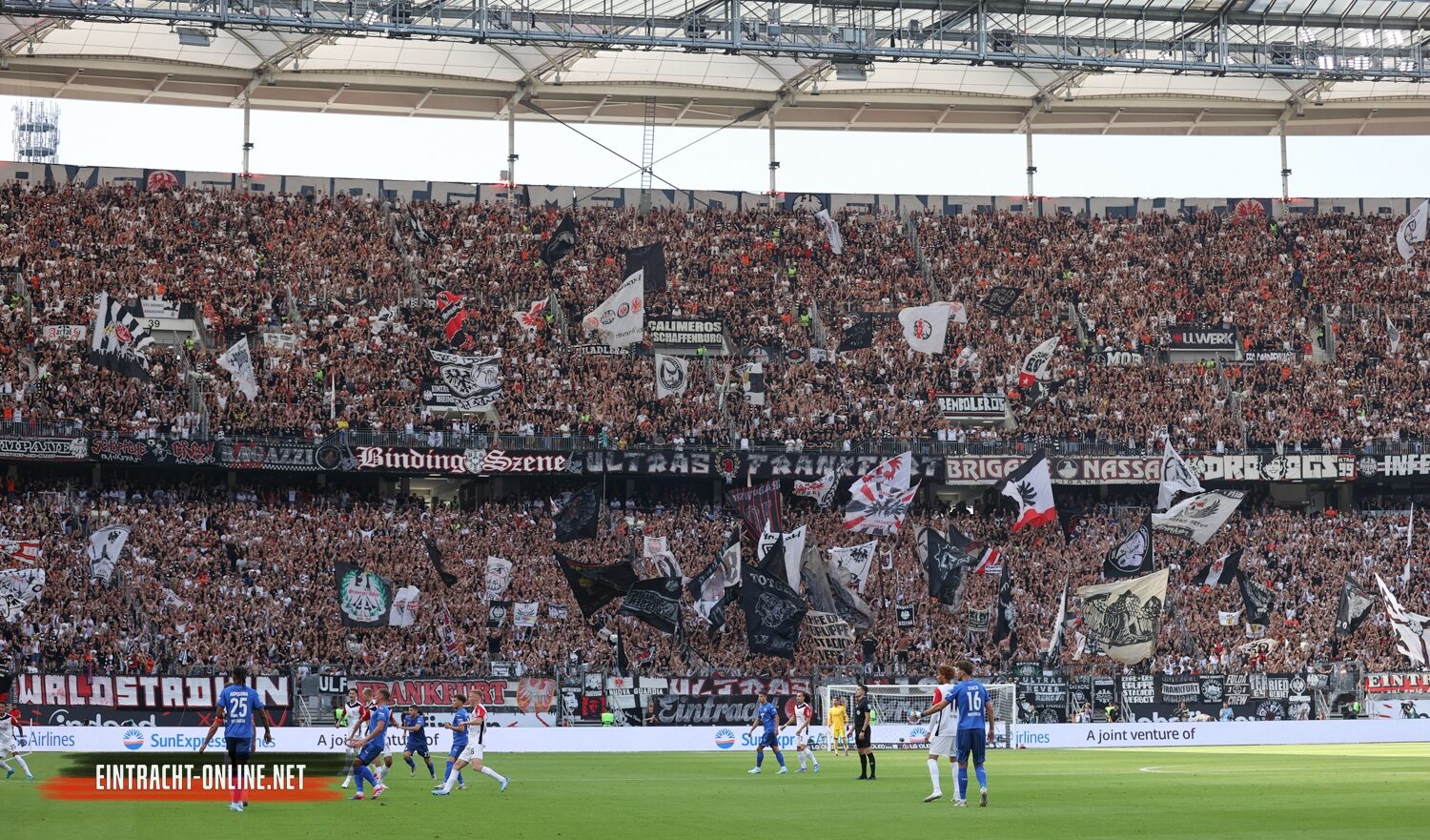 Eintracht Frankfurt – TSG Hoffenheim 3-1 (13)