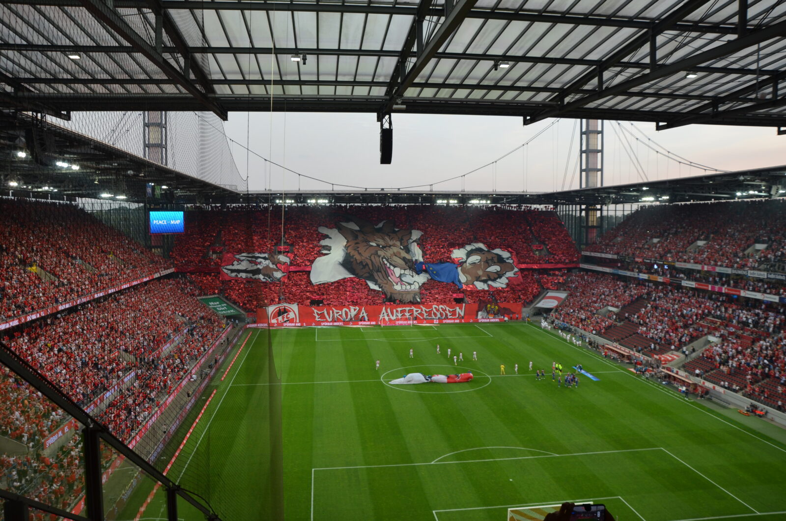 1. FC Köln – Fehérvár FC 1-2 (6)