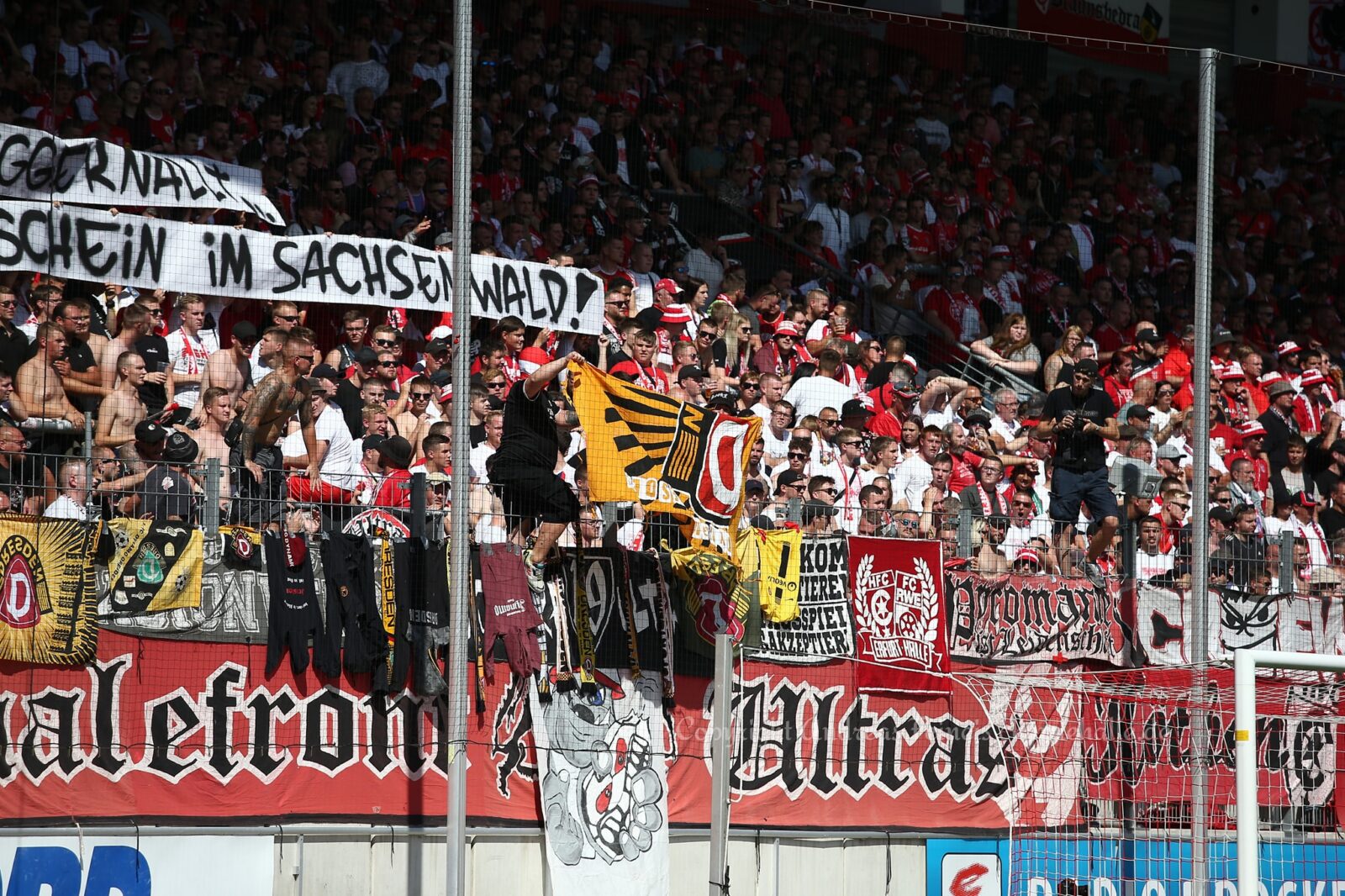 Hallescher FC – Dynamo Dresden 0-2 (19)