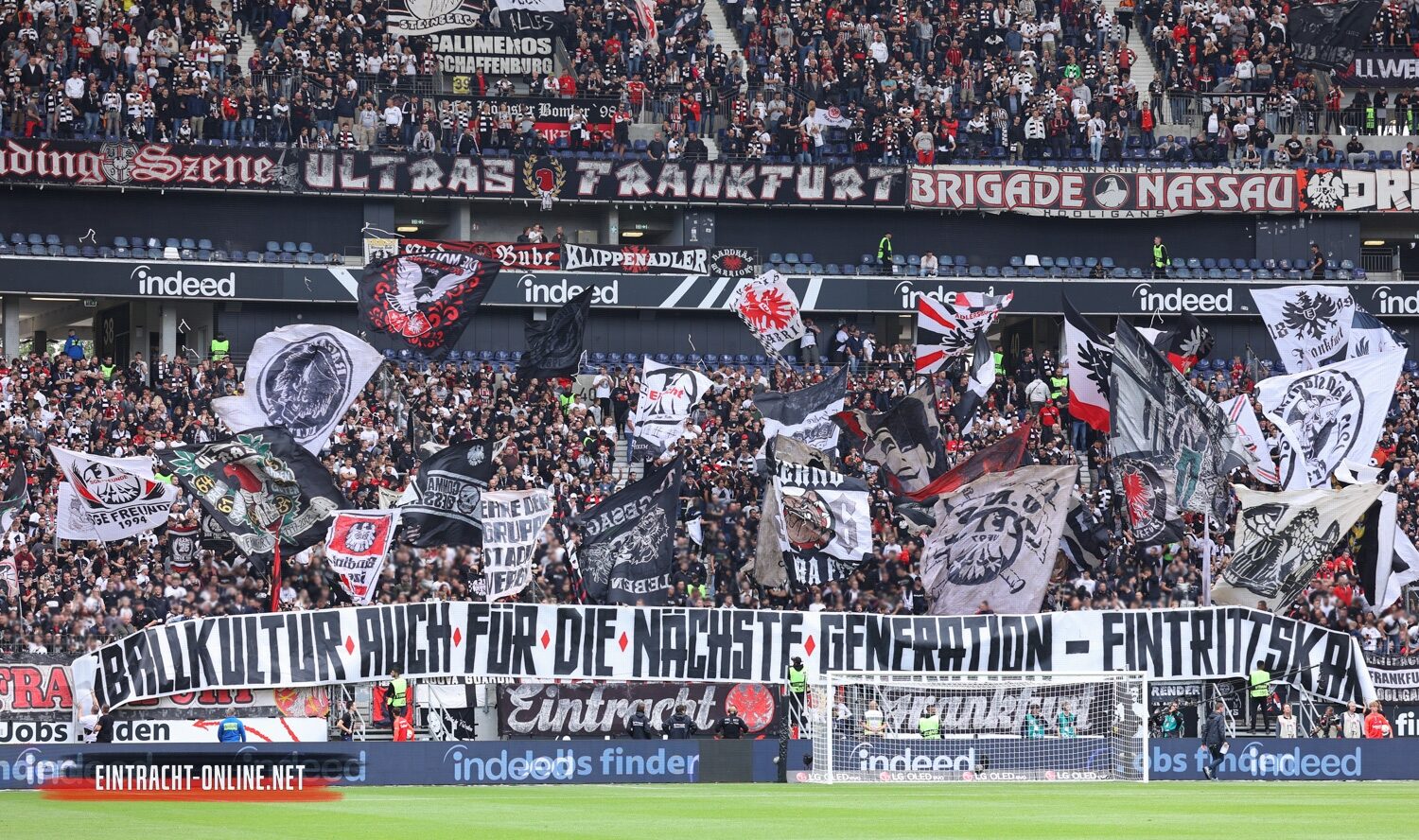 Eintracht Frankfurt – VfL Wolfsburg 0-1 (8)