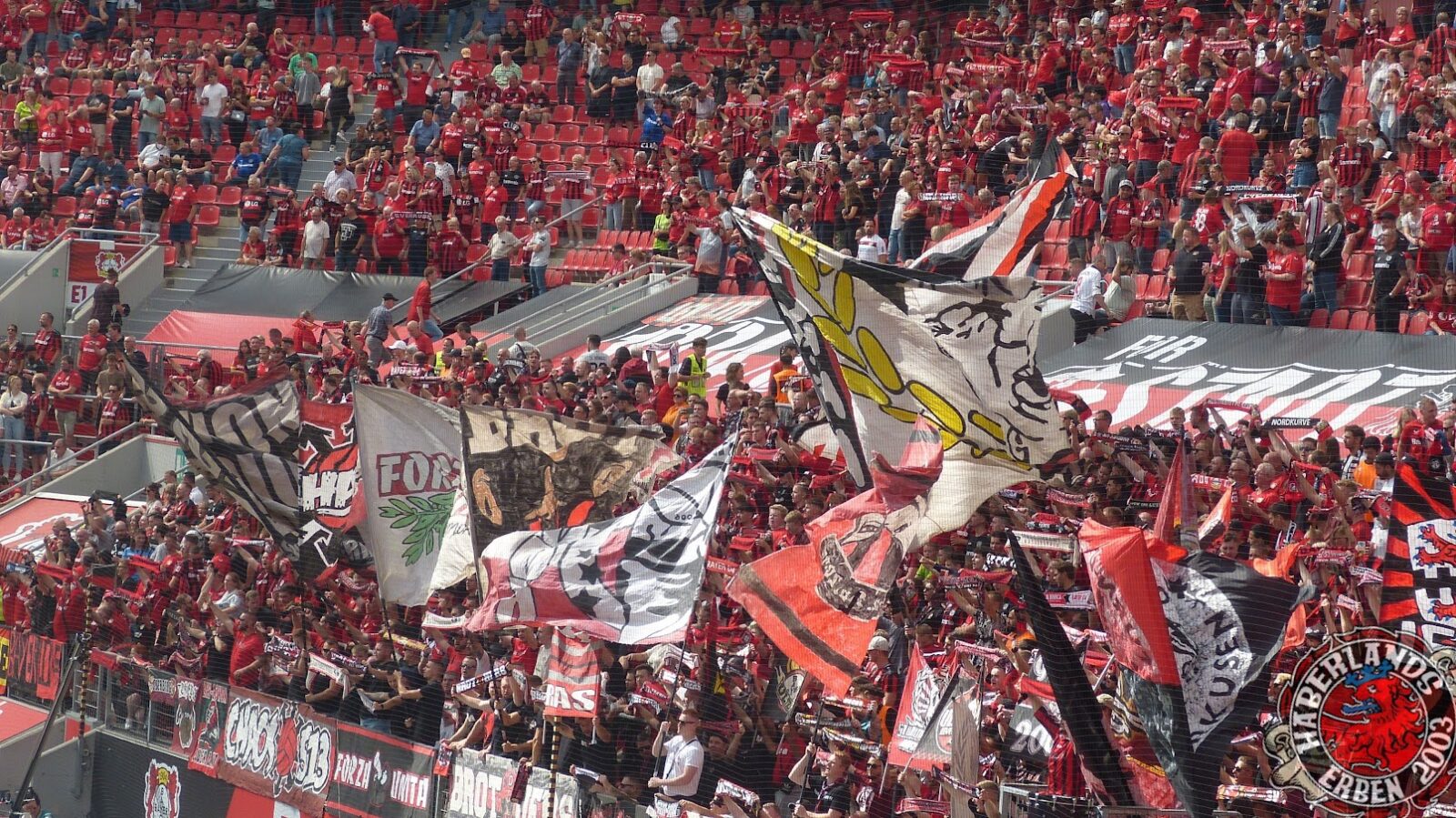 Bayer 04 Leverkusen – TSG Hoffenheim 0-3 (6)