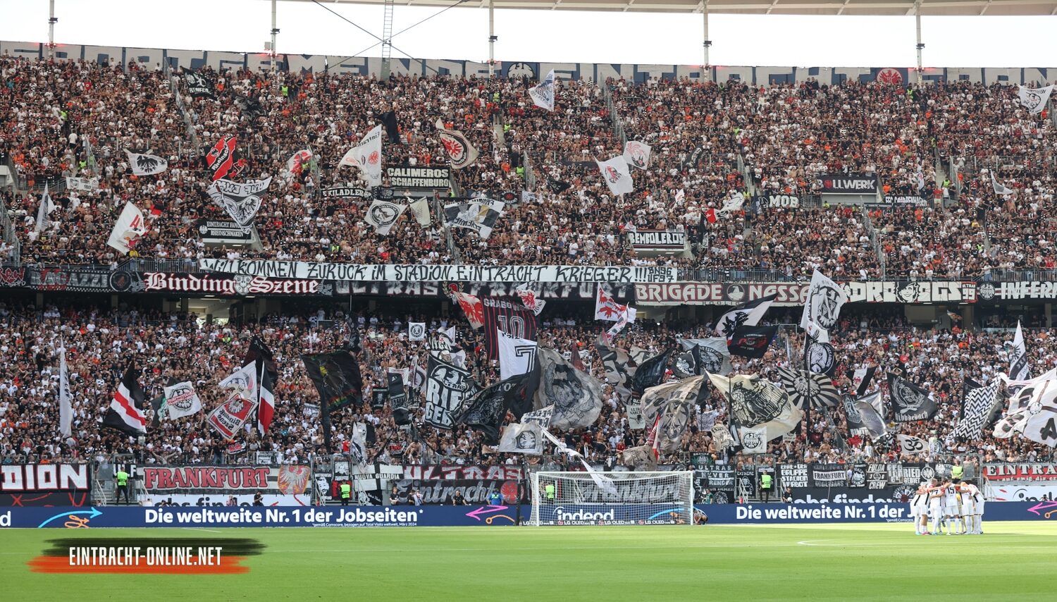 Eintracht Frankfurt – TSG Hoffenheim 3-1 (9)