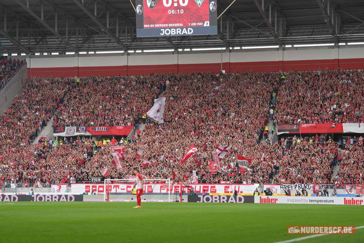 SC Freiburg – Werder Bremen 1-0 (25)
