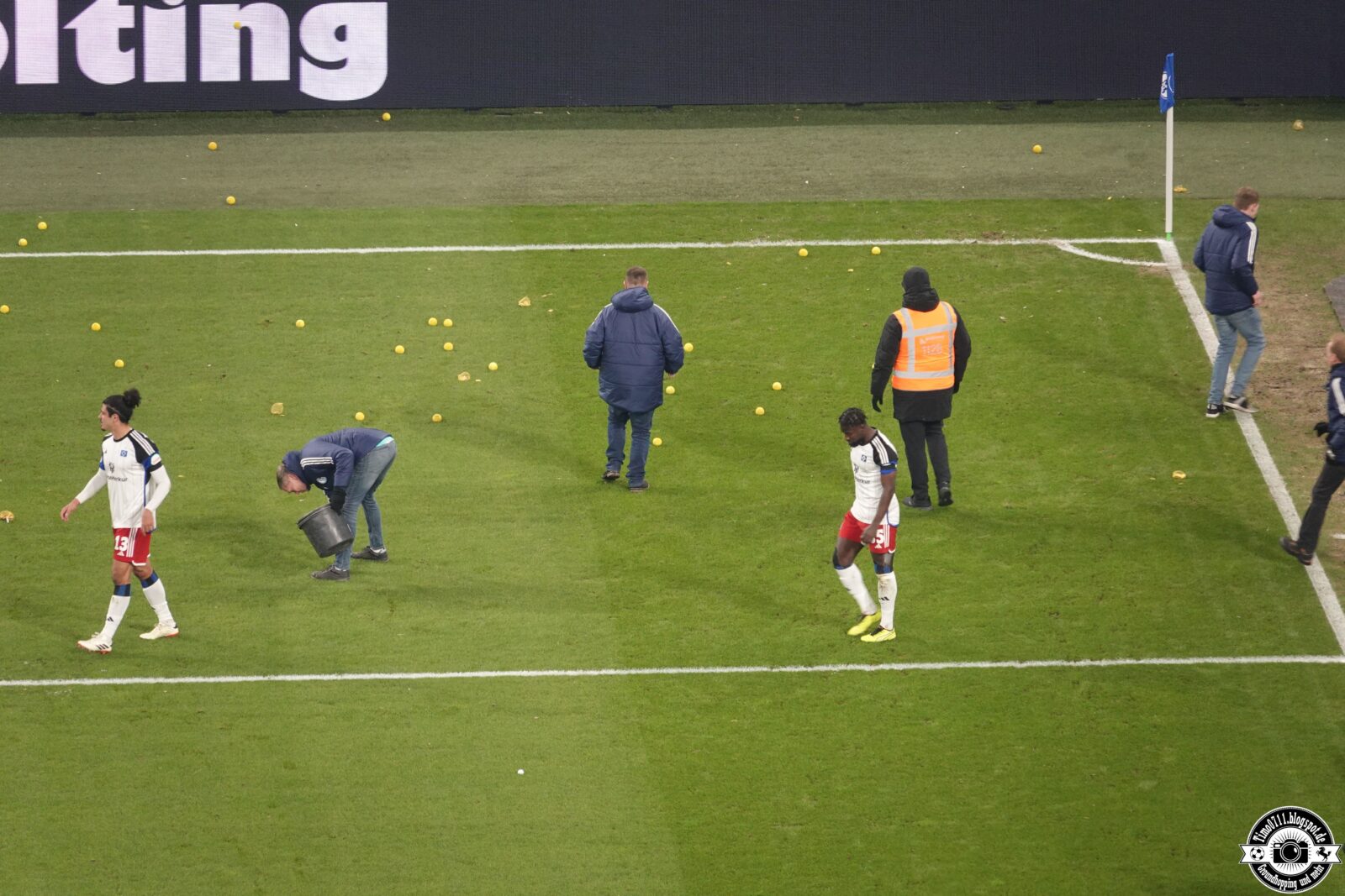 FC Schalke 04 – Hamburger SV (17)