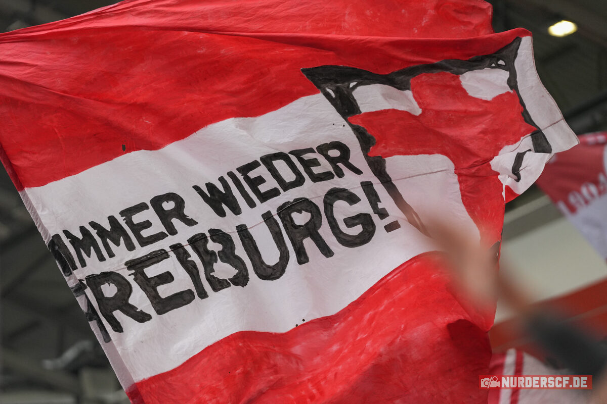 SC Freiburg – Werder Bremen 1-0 (36)