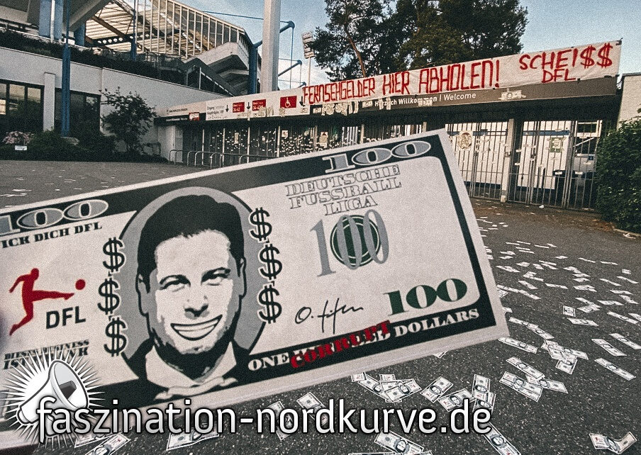 1. FC Nürnberg vs FC Erzgebirge Aue (1-1)
